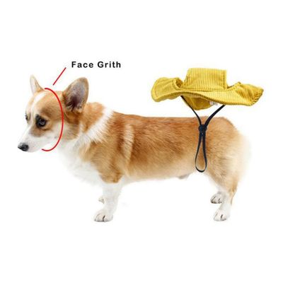 Petopia   Chapeau pour chien
