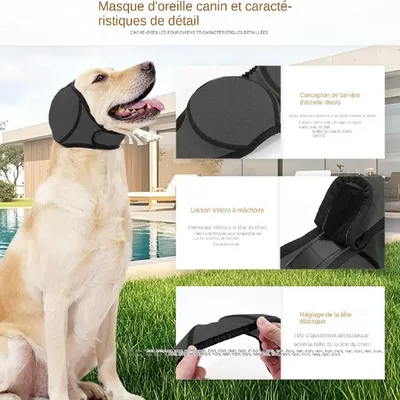 Petopia Cache - oreilles pour chien et chat