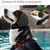 Petopia Cache - oreilles pour chien et chat