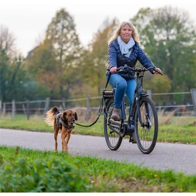 IntiMeg Laisse pour vélo