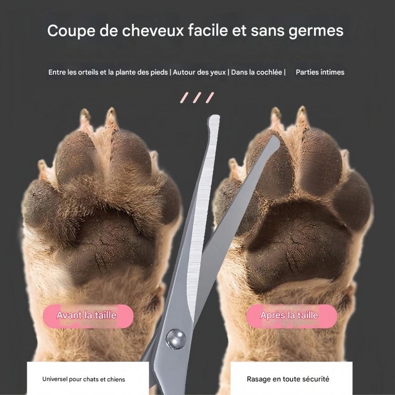 FurryFusion Ciseaux de toilettage pour chats et chiens