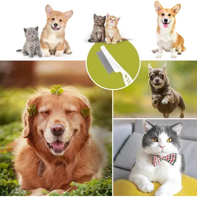 Petopia Peigne anti - puces pour chat et chien