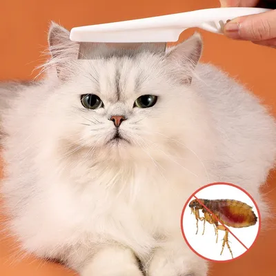 Petopia Peigne anti - puces pour chat et chien