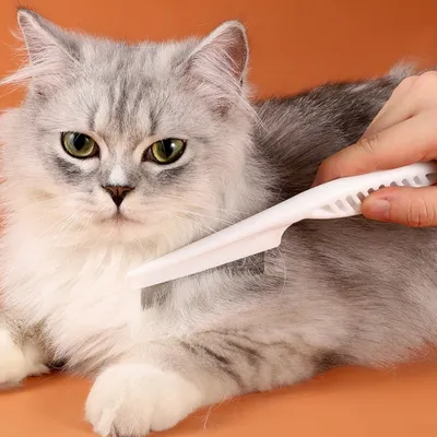 Petopia Peigne anti - puces pour chat et chien