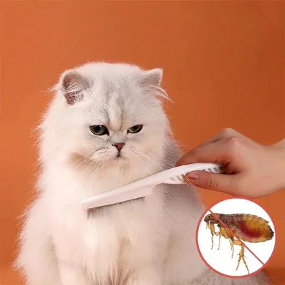 Petopia Peigne anti - puces pour chat et chien