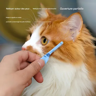 FurryFusion Lot de 3 peignes anti-puces