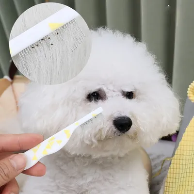 FurryFusion Lot de 3 peignes anti-puces