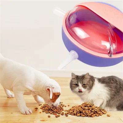 Pet Planet Biberon multifonctionnel de compagnie