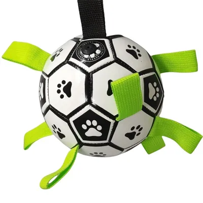 Pet Planet Ballon de football pour chien