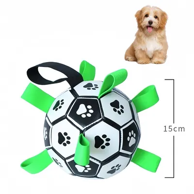 Pet Planet Ballon de football pour chien