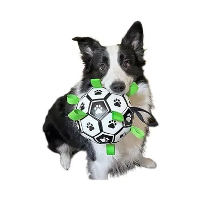 Pet Planet Ballon de football pour chien