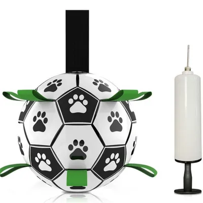 Pet Planet Ballon de football pour chien