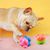 Pet Planet Jouet de grignotage sonore en caoutchouc pour chiens