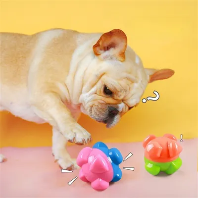 Pet Planet Jouet de grignotage sonore en caoutchouc pour chiens