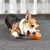 Petopia Ballon de rugby en caoutchouc pour chiens