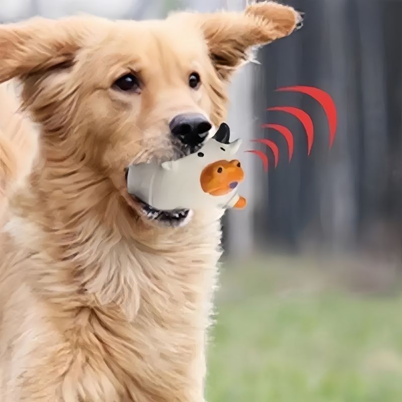 Pet Planet Chiens et Chats Jouets en Latex