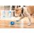 Pet Planet Chiens Joyeux Jouet de Balle Sonore