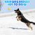 Pet Planet Chiens Joyeux Jouet de Balle Sonore
