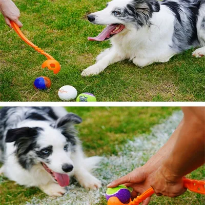 IntiMeg Lanceur de balles pour chien