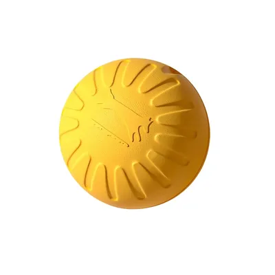 Petopia Balle jouet pour chien