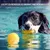 Petopia Balle jouet pour chien