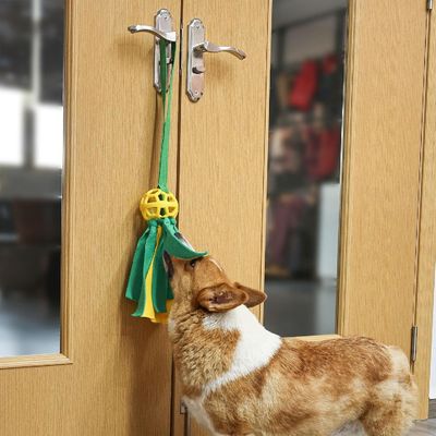 Petopia Jouets pour chiens