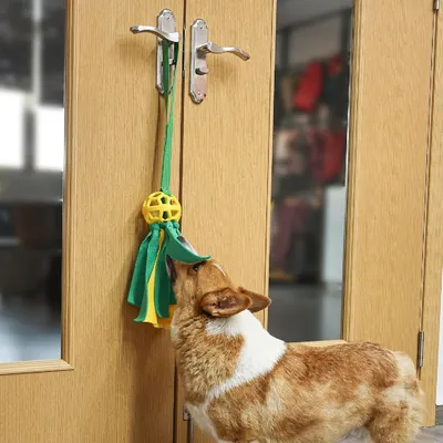 Petopia Jouets pour chiens