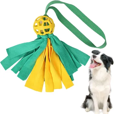 Petopia Jouets pour chiens