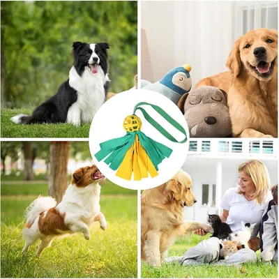 Petopia Jouets pour chiens