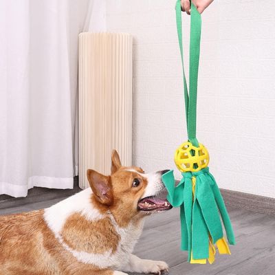 Petopia Jouets pour chiens