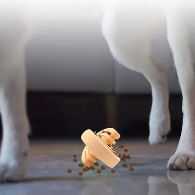 Petopia Balle manquante jouet pour animaux