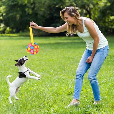 UAMLY Pelota olfativa para perros, pelota de juguete