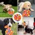 UAMLY Balle a Renifler Chien, Balle Jouets
