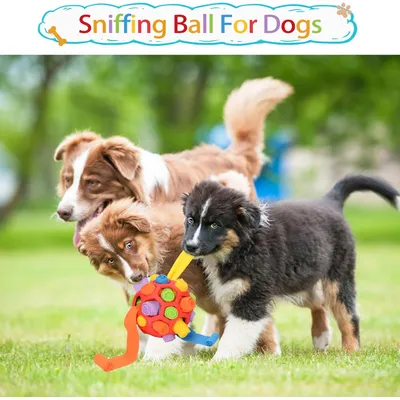 UAMLY Pelota olfativa para perros, pelota de juguete