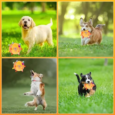 Pet Planet Chiens JouetsSet Jouet de Balle Sonore