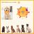 Pet Planet Chiens JouetsSet Jouet de Balle Sonore