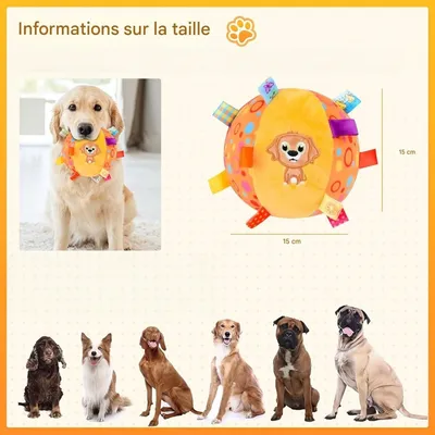Pet Planet Chiens JouetsSet Jouet de Balle Sonore