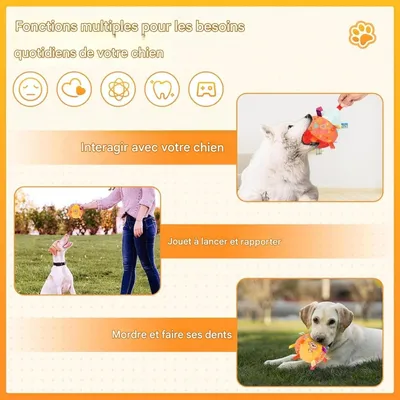 Pet Planet Chiens JouetsSet Jouet de Balle Sonore
