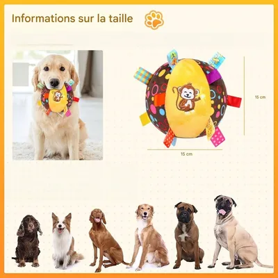 Pet Planet Chiens JouetsSet Jouet de Balle Sonore