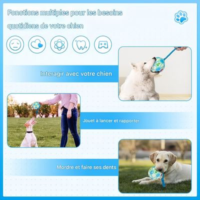 Pet Planet Chiens Balle Jouets Pour Chiens