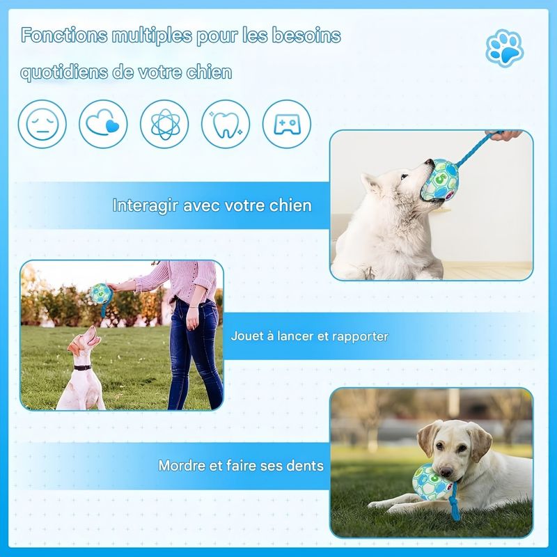 Pet Planet Chiens Balle Jouets Pour Chiens