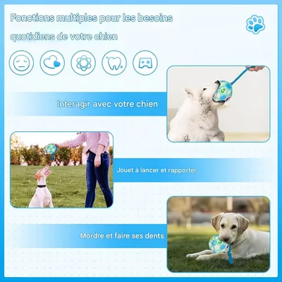Pet Planet Chiens Balle Jouets Pour Chiens
