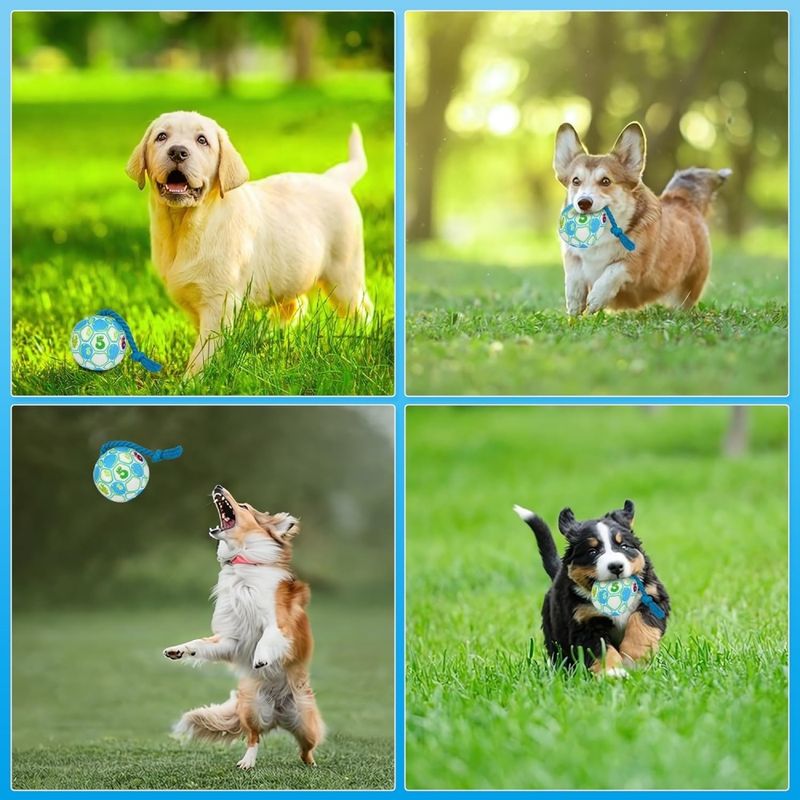 Pet Planet Chiens Balle Jouets Pour Chiens