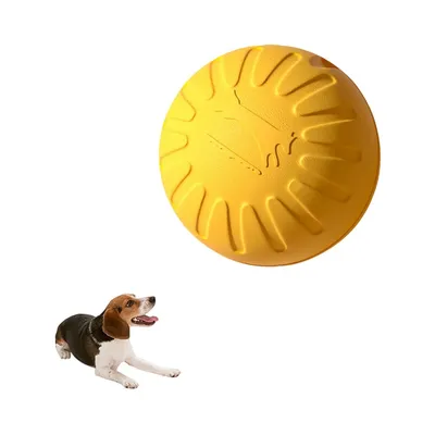 Petopia Balle jouet pour chien