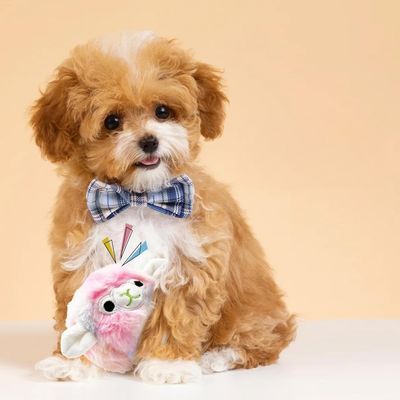 Pet Planet Chiens Playtime Jouet En Peluche Pour Chiens