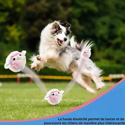 Pet Planet Chiens Playtime Jouet En Peluche Pour Chiens