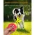 Pet Planet Chiens Activity Lot De Boules En Peluche Sonores Pour Chiens