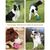 Pet Planet Chiens Activity Lot De Boules En Peluche Sonores Pour Chiens
