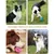 Pet Planet Chiens Activity Lot De Boules En Peluche Sonores Pour Chiens