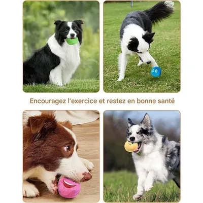 Pet Planet Chiens Activity Lot De Boules En Peluche Sonores Pour Chiens